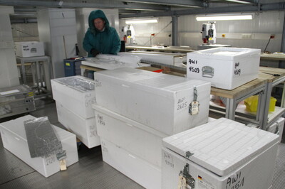 Dem Klimawandel auf der Spur: Bremerhavener Forscher tauchen im Eislabor in die Erdgeschichte ein | © Isoliert und kalt wie eine große Gefriertruhe: das Eislabor im Alfred-Wegener-Institut für Polar- und Meeresforschung [Awi],.