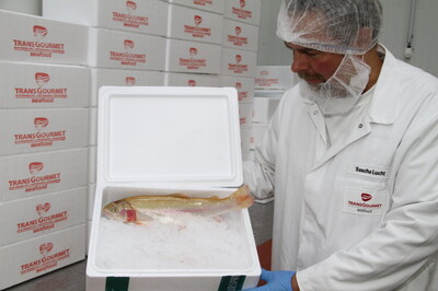 Fisch als nachhaltiges Lebensmittel: Transgourmet macht´s möglich | © Fisch aus nachhaltiger Aquakultur Fisch als nachhaltiges Lebensmittel: Transgourmet macht´s möglich | © Fisch aus nachhaltiger Aquakultur