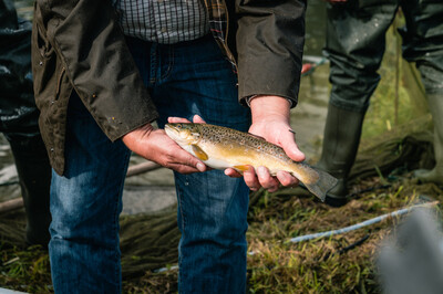 Fischaktie: Gewinn für die Natur | © Transgourmet / Helmut Stapel Fischaktie: Gewinn für die Natur | © Transgourmet / Helmut Stapel