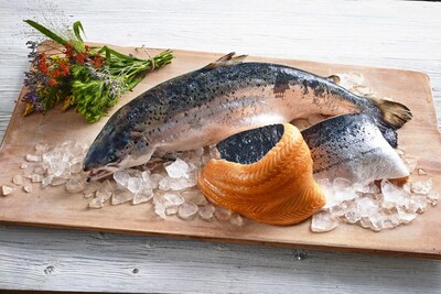 Götterdämmerung mit Siegel: Transgourmet Seafood verarbeitet isländischen Naturlachs im Fischereihafen | © Transgourmet Seafood