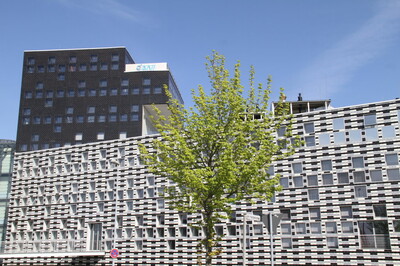 Green Economy trotzt Corona | © Helmut Stapel Green Economy trotzt Corona | © Helmut Stapel