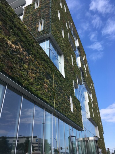 Gründerzentrum Green Economy geht in die Planungsphase Gründerzentrum Green Economy geht in die Planungsphase