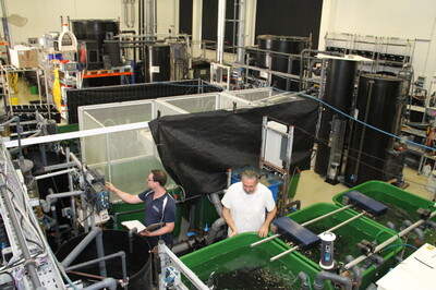 Sauberes Wasser ohne Chemie | © Helmut Stapel Sauberes Wasser ohne Chemie | © Helmut Stapel